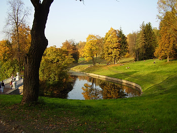 Landscape, Trees, Parks HD wallpaper