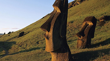 moai statues on easter island chile, island, grass, hills, statues HD wallpaper