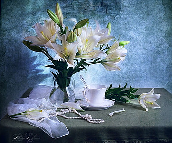 White lilies and pearls, blue, still life, white, pearls, nature, lilies, cup HD wallpaper