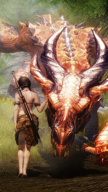 video game, The Elder Scrolls V: Skyrim HD phone wallpaper