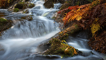 Forest Stream at Northern Savonia, Finland, trees, cascades, rocks, stones HD wallpaper