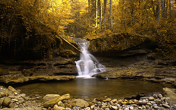 Landscape, Rivers, Trees, Autumn, Waterfalls HD wallpaper