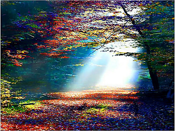 Dance, across, dancing, light, floor HD wallpaper