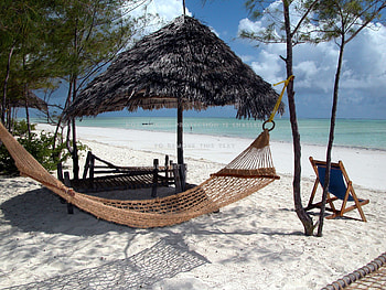 Hammock at Zanzibar Beach, Relaxation under palms, Tropical bliss HD wallpaper