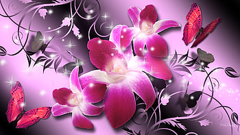 Orchids Luxury, butterflies, pink, firefox persona, shine, bright, flowers, orchid, stars HD wallpaper