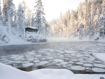Cottage by the Pond, winter, lake, snow, trees, nature, cottage, forest, ice, pond HD wallpaper