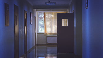 Dimly lit corridor with a window casting soft sunlight through blinds. HD wallpaper