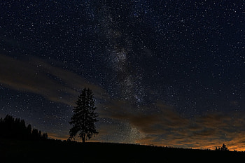 Nature, Stars, Night, Wood, Tree, Starry Sky, Spruce, Fir HD wallpaper
