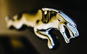Jaguar Logo, Sleek design, Automotive elegance, Stylish emblem HD wallpaper