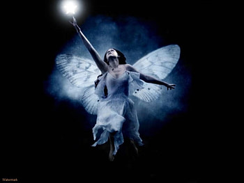 gothic butterfly fairy, fairy, gothic, girl, butterfly HD wallpaper