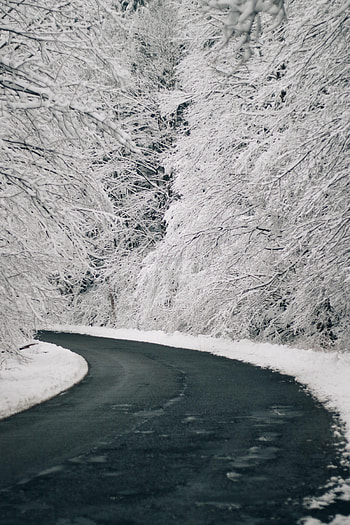 Winter, Nature, Trees, Snow, Road, Turn HD phone wallpaper