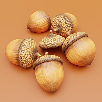 Stylized acorns, Blender tutorial, Artstation, Make HD phone wallpaper