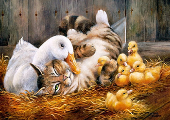 cat and duck, duck, cat, country, love HD wallpaper