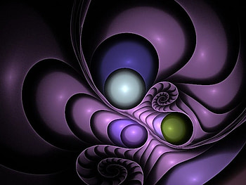 seashell, pearls, snail, mussels, fractals HD wallpaper