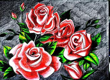 Roses, rose, abstract HD wallpaper