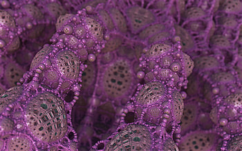 3D, Form, Fractal, Forms, Rendering HD wallpaper