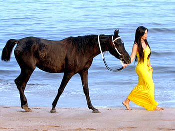Come w Me, on beach, cool, lady with horse HD wallpaper