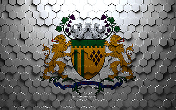 Flag of Caxias do Sul, honeycomb art, Caxias do Sul hexagons flag, Caxias do Sul, 3d hexagons art, Caxias do Sul flag HD wallpaper