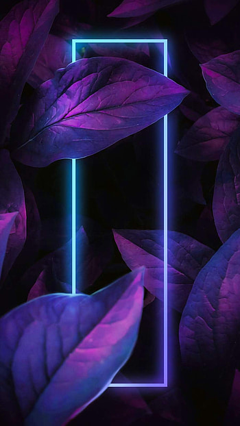 Neon square with leafs, purple, neon, leaf HD phone wallpaper