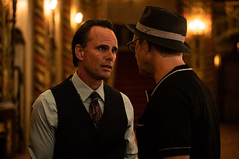 Queen of the Ring: Walton Goggins in Stunning Ultra, movie, Walton Goggins HD wallpaper