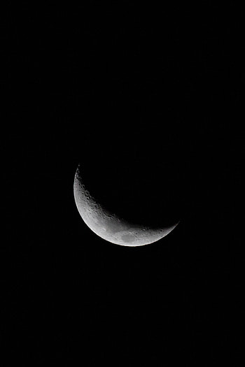 Night, Moon, Shadow HD phone wallpaper