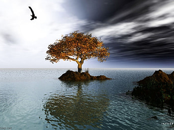 Digital tree , digital, tree HD wallpaper