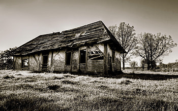 Nature, Wood, Wooden, House, Black And White, Ruin, Ruins HD wallpaper
