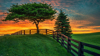Summer Sunset, fence, colors, landscape, trees, clouds, meadow, sky HD wallpaper