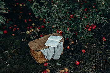 Apples, Miscellanea, Miscellaneous, Book, Basket, Harvest HD wallpaper