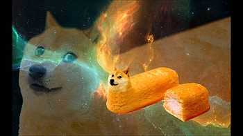 Concept Design Home: Doge Shibe HD wallpaper