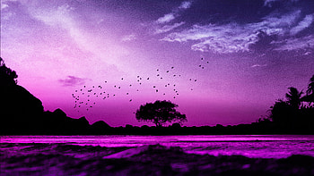 Evening Mood Pink , evening, pink, artist, artwork, digital-art HD wallpaper