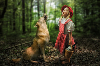 * In forest *, dog, animals, nature, girl, forest HD wallpaper