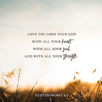 Everything, bible, scriptures HD phone wallpaper