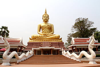 A stunning view of a golden Buddha statue surrounded by traditional temple architecture and lush nature. HD wallpaper