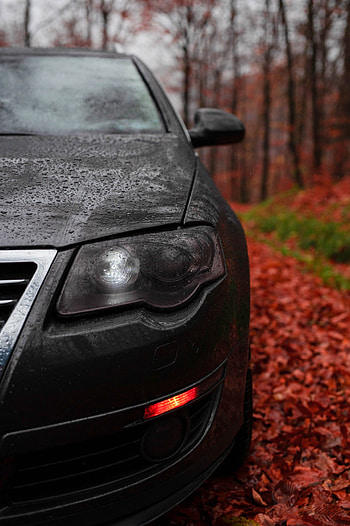 Passat, automotive_design, motor_vehicle, toamna HD phone wallpaper