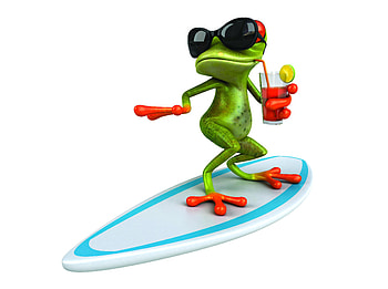 Surfen Frog, cocktail, 3d, funny, humor, frog, surf HD wallpaper