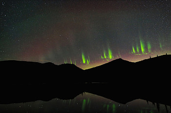 Forgetmenot Pond, aurora, northern-lights, canada, nature HD wallpaper