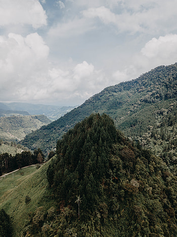 Landscape, Nature, Mountains, Vertex, Forest, Tops, Slopes HD phone wallpaper