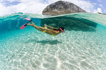 Diving, sand, graphy, tropical, , holiday, abstract, underwater, , water, vacantion, trave, girl, sesons, summer, clouds, sky, clear, lovely HD wallpaper
