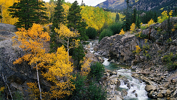 Roaring Fork River, White River National Forest, Colorado, river, mountain, rock, yellow, trees, autumn, nature, colorado, sky, water, forest HD wallpaper