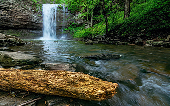 Cloudland Canyon, Georgia, rocks, stones, river, waterfall, trees, usa HD wallpaper
