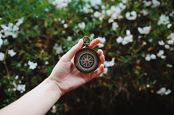 Leaves, Hand, Miscellanea, Miscellaneous, Branches, Branch, Direction, Compass HD wallpaper