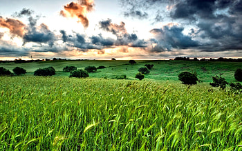 Beautiful Sky, colors, peaceful, sunrise, beauty, trees, sunset, landscape, beautiful, grass, tree, green, view, clouds, nature, sky, lovely, splendor HD wallpaper