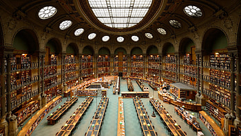 Library, read, book, silence HD wallpaper