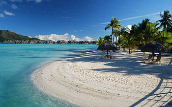Nature, Sand, Palms, Relaxation, Rest, Tropics, Chairs, Sun Loungers, Sun Beds, Resort, Azure, Armchairs, Bora Bora, Awnings, Sheds HD wallpaper