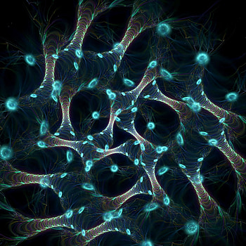 Abstract, Structure, Intricate, Confused, Net, Neurons HD phone wallpaper