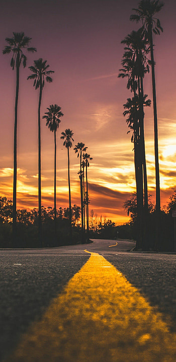 Vertical sunset, , Nature, Smart background HD phone wallpaper