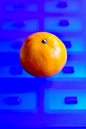 Food, Fruit, Citrus, hop, Mandarin, Tangerine HD phone wallpaper