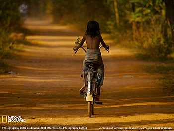 Cambodia, bicycle, trees, road, girl, country HD wallpaper