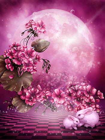 Plants, Flowers, Rabbits HD phone wallpaper